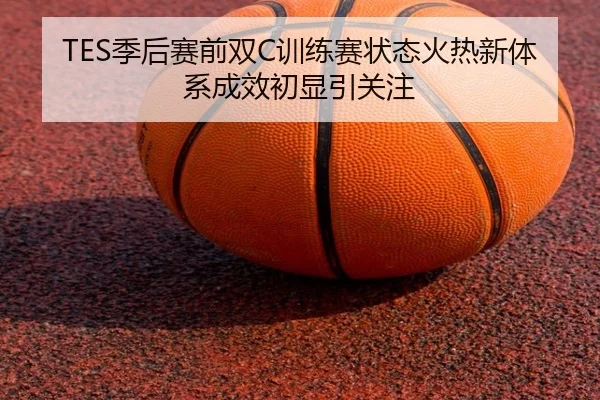 TES季后赛前双C训练赛状态火热新体系成效初显引关注